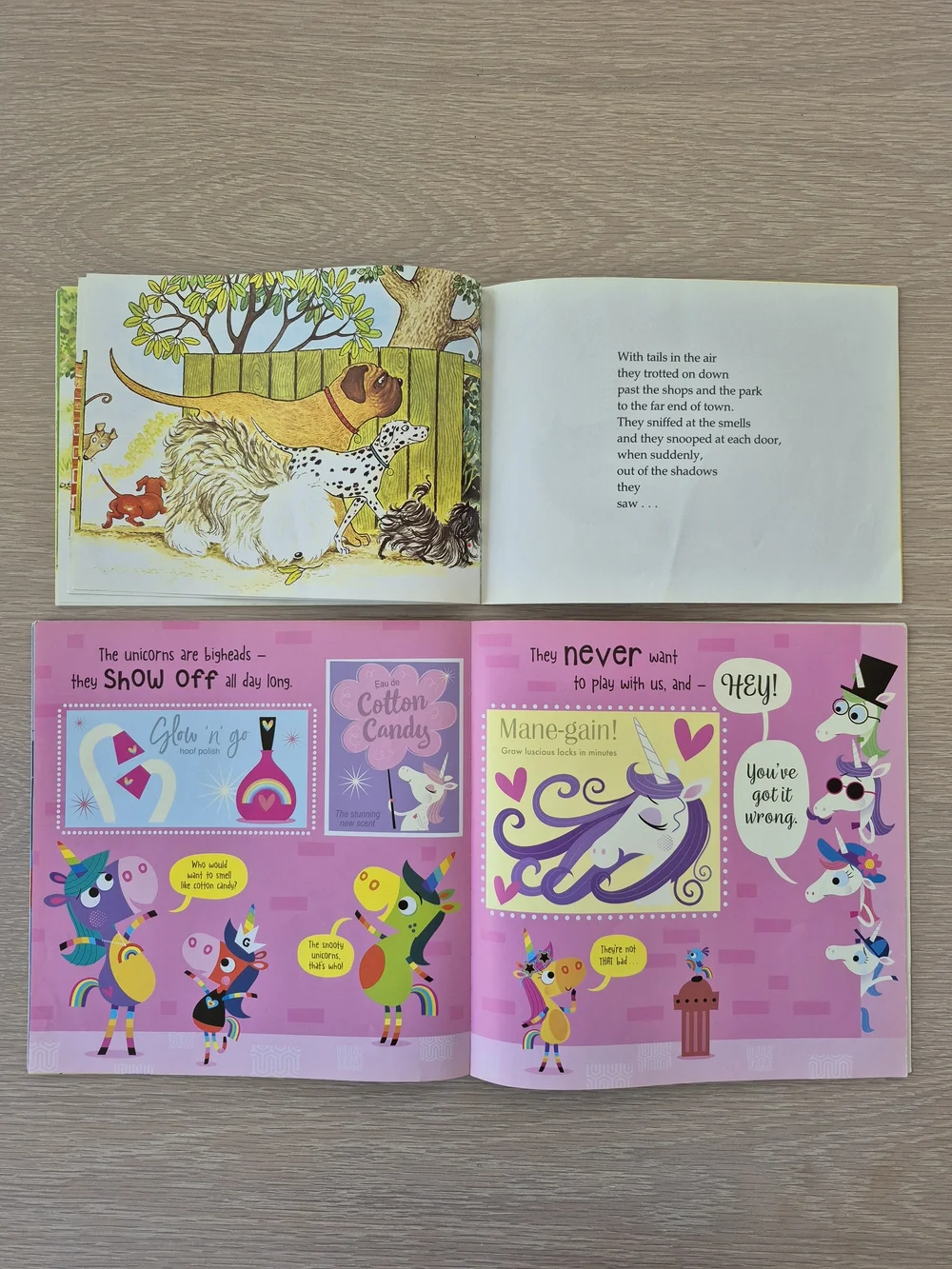 Hairy Maclary from Donaldson's Dairy and We are the Groovicorn! children's books